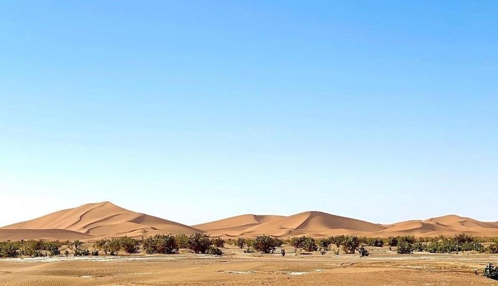 Chegaga Desert Trips Camp M'Hamid Εξωτερικό φωτογραφία
