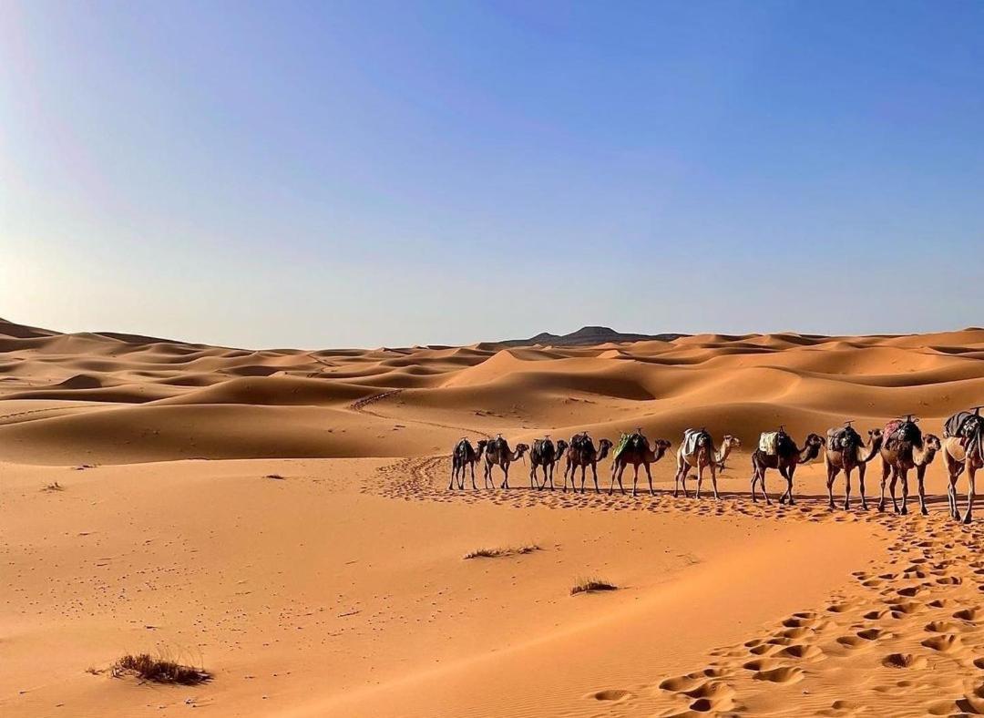 Chegaga Desert Trips Camp M'Hamid Εξωτερικό φωτογραφία