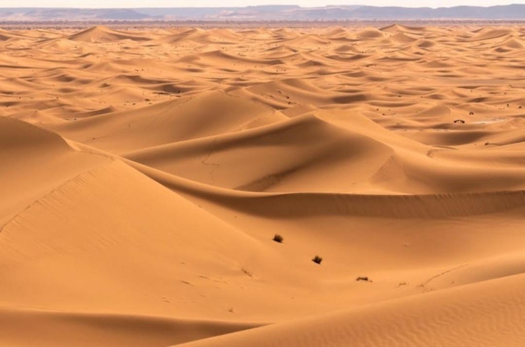 Chegaga Desert Trips Camp M'Hamid Εξωτερικό φωτογραφία